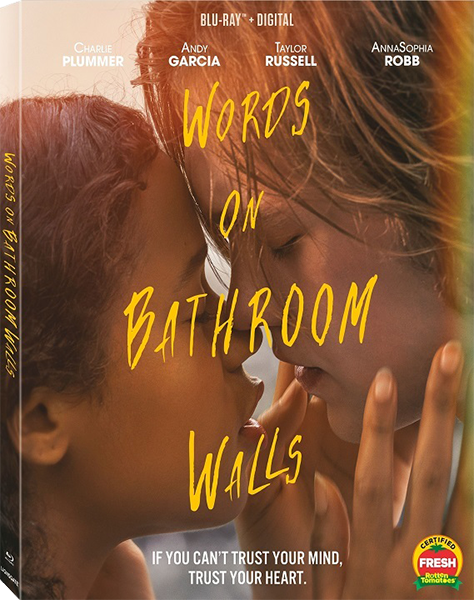 Сумасшедшая любовь / Words on Bathroom Walls (2020) BDRip 1080p | L